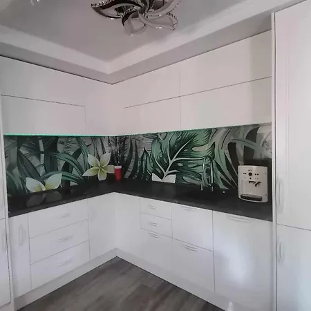 Cezari 3* Brasov