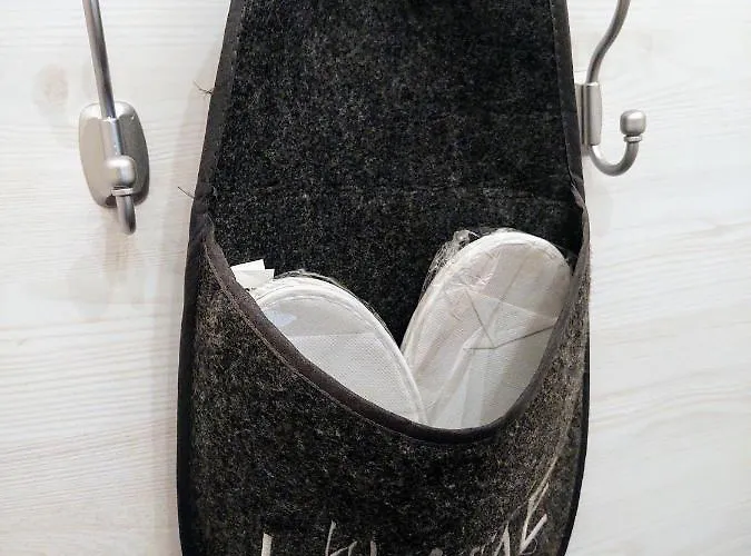 公寓 Cezari 布拉索夫