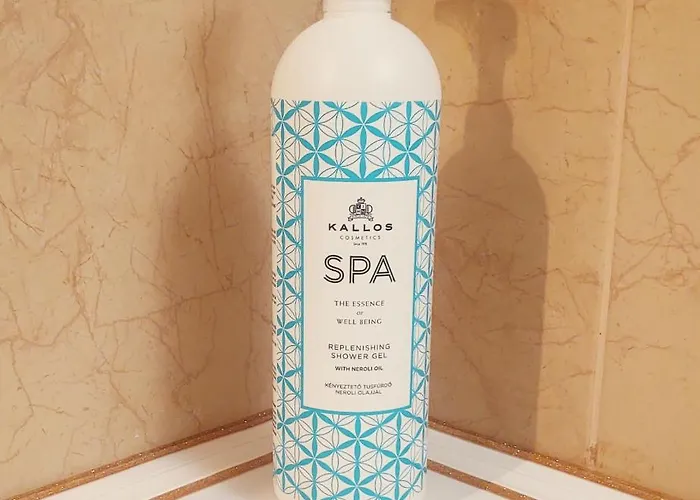 Cezari 3* 布拉索夫